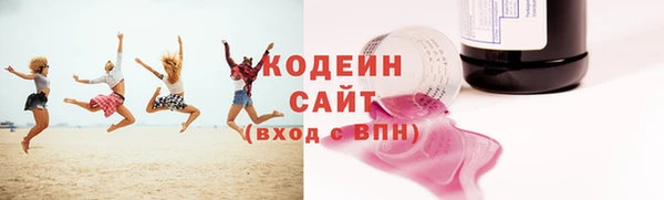 apvp Гусев