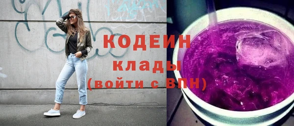 apvp Гусев