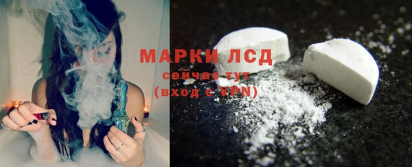 apvp Гусев